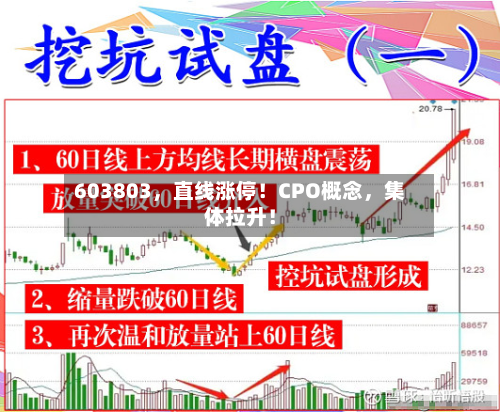 603803，直线涨停！CPO概念，集体拉升！