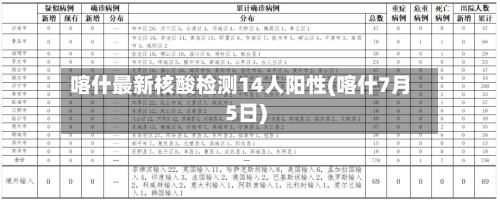 喀什最新核酸检测14人阳性(喀什7月5日)-第2张图片