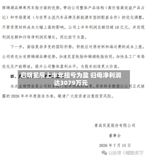 启明星辰上半年扭亏为盈 归母净利润达3079万元