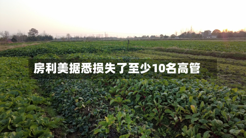 房利美据悉损失了至少10名高管-第2张图片