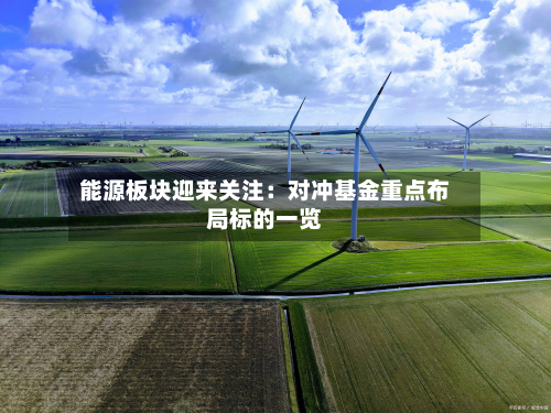 能源板块迎来关注:对冲基金重点布局标的一览-第3张图片