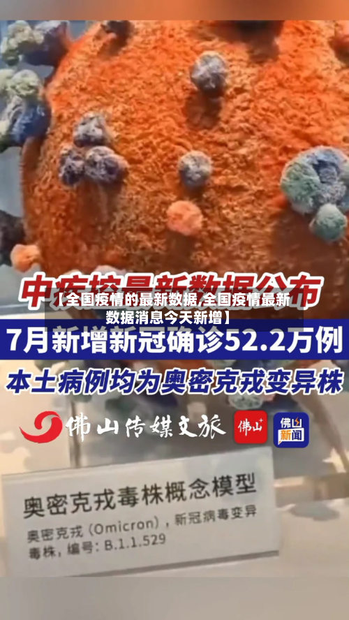【全国疫情的最新数据,全国疫情最新数据消息今天新增】-第2张图片