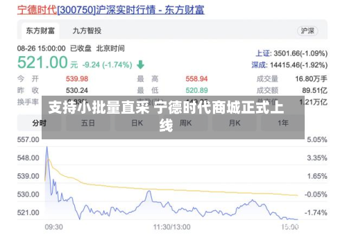 支持小批量直采 宁德时代商城正式上线