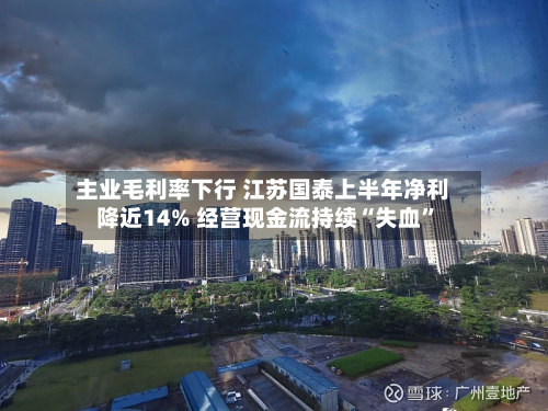 主业毛利率下行 江苏国泰上半年净利降近14% 经营现金流持续“失血”-第2张图片