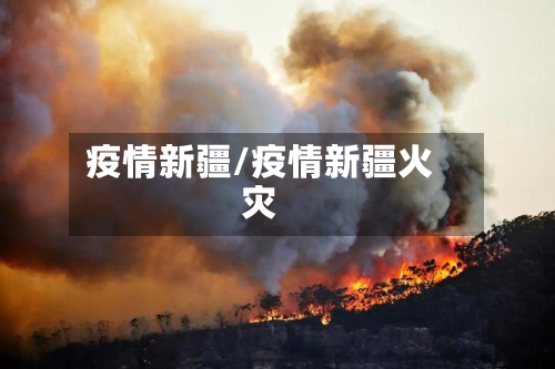 疫情新疆/疫情新疆火灾