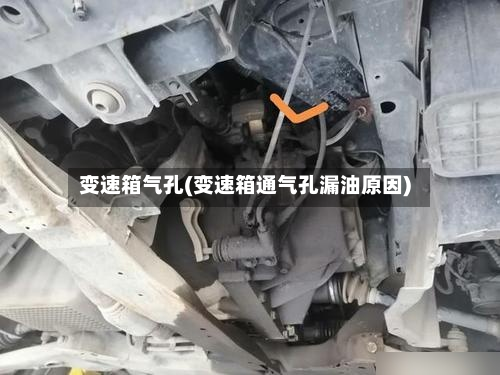 变速箱气孔(变速箱通气孔漏油原因)
