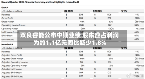 双良睿能公布中期业绩 股东应占利润为约1.1亿元同比减少1.8%-第3张图片
