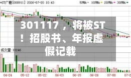 301117 ，将被ST！招股书、年报虚假记载-第3张图片