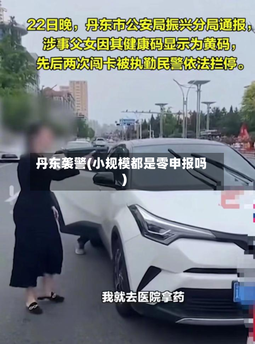 丹东袭警(小规模都是零申报吗)-第2张图片