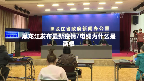 黑龙江发布最新疫情/电线为什么是两根-第3张图片