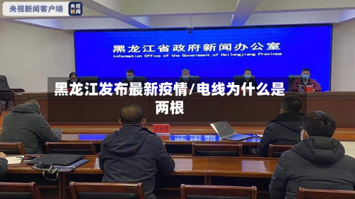 黑龙江发布最新疫情/电线为什么是两根-第2张图片