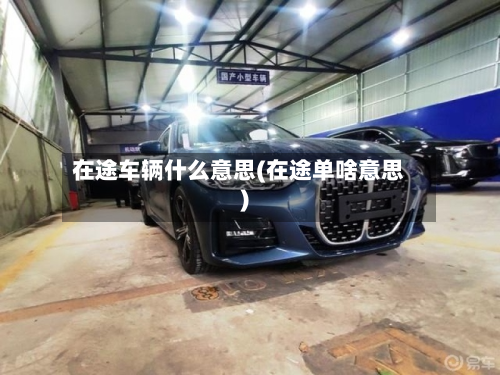 在途车辆什么意思(在途单啥意思)