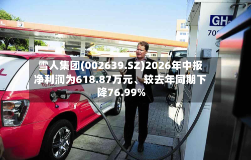 雪人集团(002639.SZ)2026年中报净利润为618.87万元、较去年同期下降76.99%-第3张图片