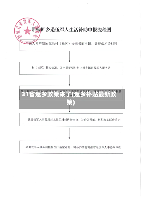31省返乡政策来了(返乡补贴最新政策)