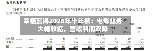 幸福蓝海2026年半年报：电影业务大幅收缩，营收利润双降