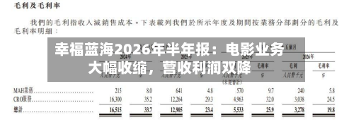 幸福蓝海2026年半年报：电影业务大幅收缩，营收利润双降-第3张图片