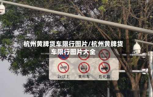 杭州黄牌货车限行图片/杭州黄牌货车限行图片大全-第3张图片