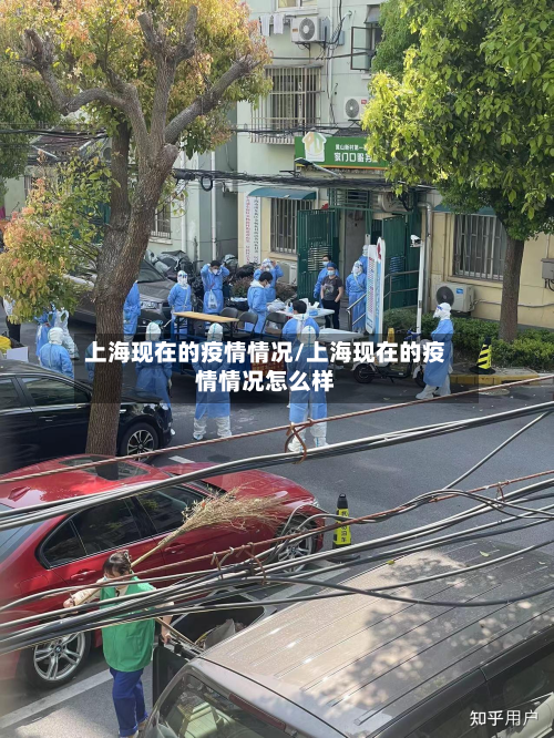 上海现在的疫情情况/上海现在的疫情情况怎么样