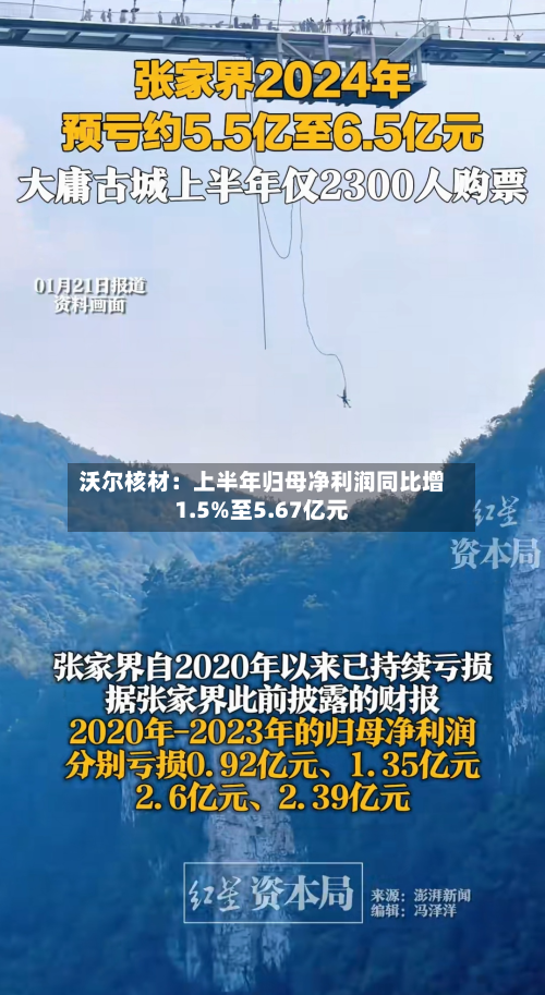 沃尔核材：上半年归母净利润同比增1.5%至5.67亿元-第3张图片