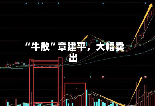 “牛散	”章建平，大幅卖出-第1张图片
