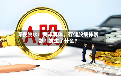 深夜跳水！美半导体、存储股集体暴跌！发生了什么？-第3张图片