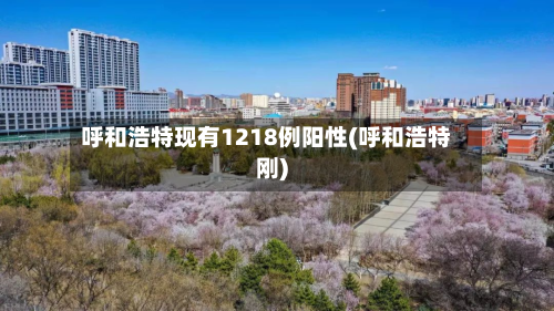 呼和浩特现有1218例阳性(呼和浩特刚)-第2张图片