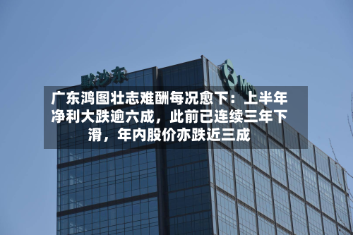 广东鸿图壮志难酬每况愈下：上半年净利大跌逾六成	，此前已连续三年下滑，年内股价亦跌近三成-第1张图片