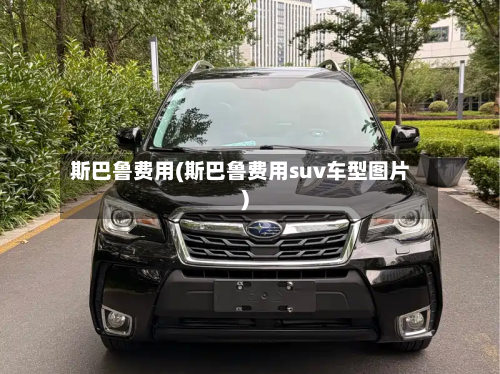 斯巴鲁费用(斯巴鲁费用suv车型图片)