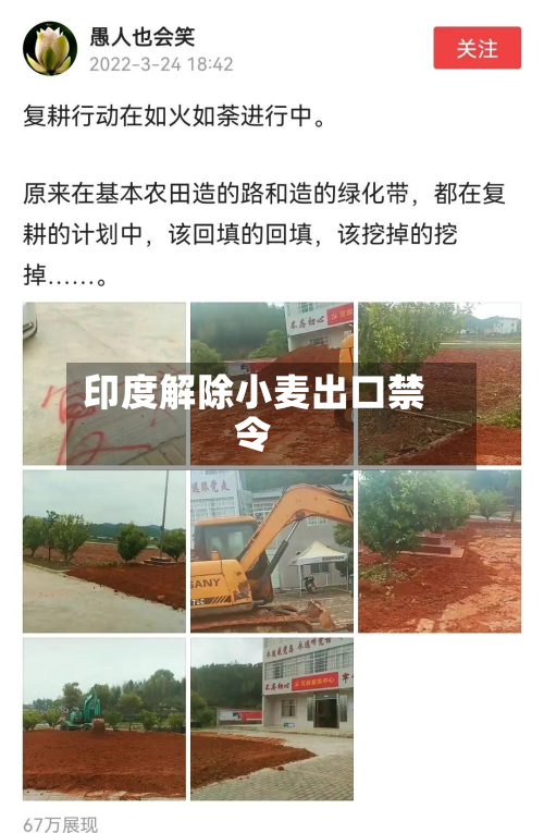 印度解除小麦出口禁令-第1张图片