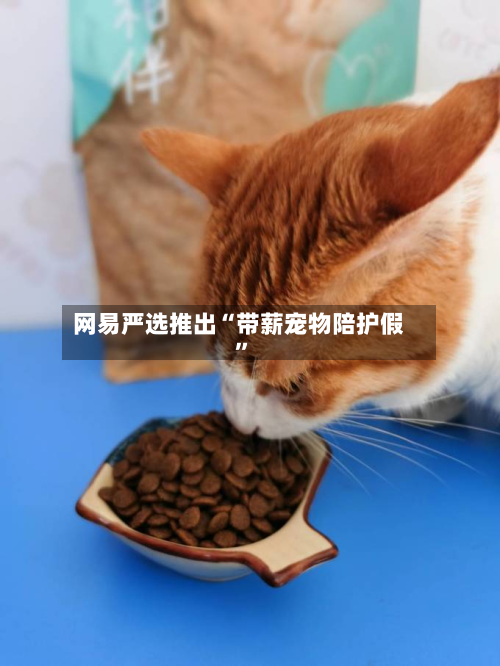 网易严选推出“带薪宠物陪护假”-第2张图片