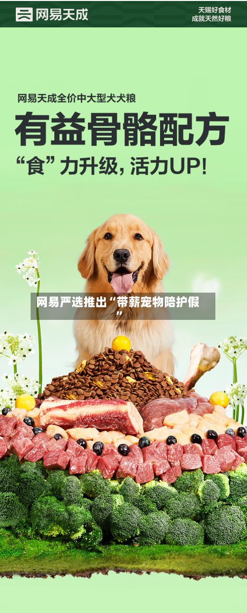 网易严选推出“带薪宠物陪护假	”-第3张图片