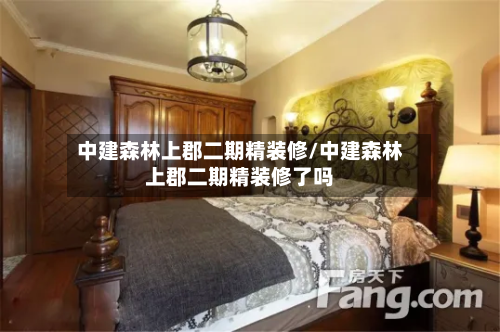 中建森林上郡二期精装修/中建森林上郡二期精装修了吗