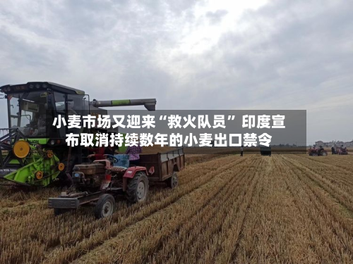 小麦市场又迎来“救火队员	” 印度宣布取消持续数年的小麦出口禁令-第1张图片