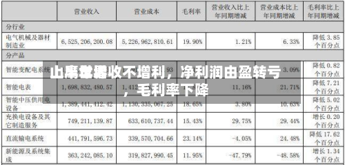山鹰世界上半年增收不增利，净利润由盈转亏	，毛利率下降-第2张图片
