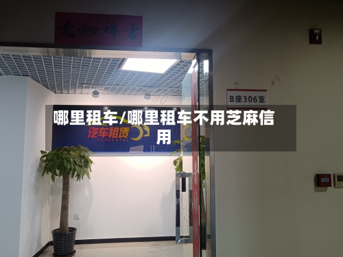 哪里租车/哪里租车不用芝麻信用-第2张图片