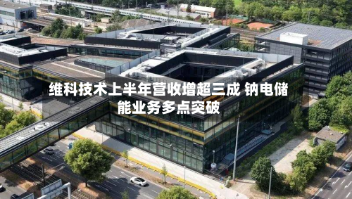 维科技术上半年营收增超三成 钠电储能业务多点突破
