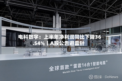 电科数字:上半年净利润同比下降36.54%丨A股公告避雷针-第3张图片