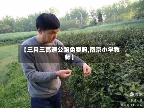 【三月三高速公路免费吗,南京小学教师】