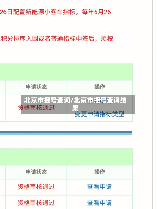 北京市摇号查询/北京市摇号查询结果