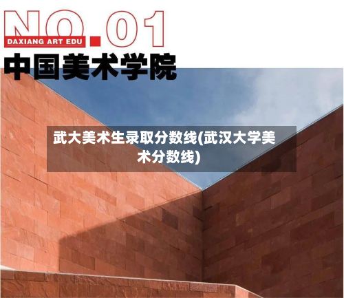 武大美术生录取分数线(武汉大学美术分数线)