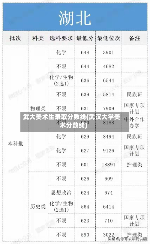 武大美术生录取分数线(武汉大学美术分数线)-第2张图片