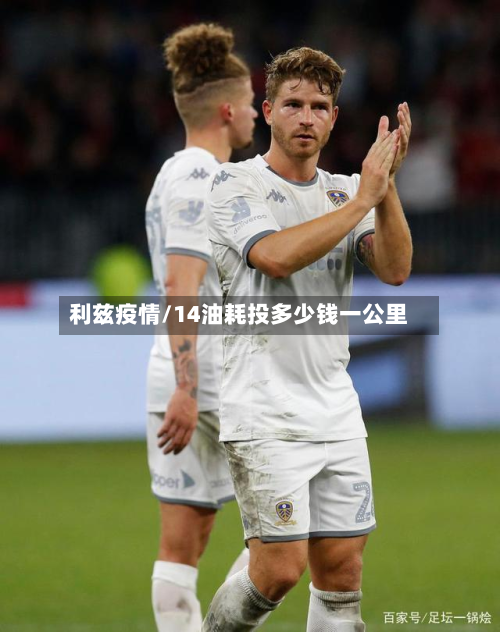 利兹疫情/14油耗投多少钱一公里-第2张图片