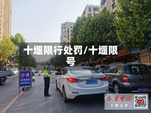 十堰限行处罚/十堰限号