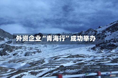 外资企业“青海行”成功举办