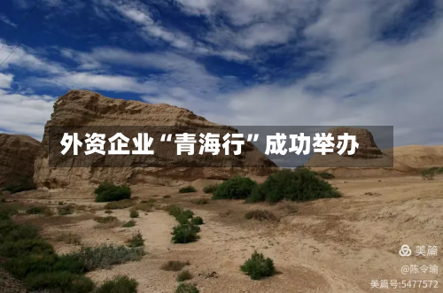 外资企业“青海行”成功举办-第2张图片
