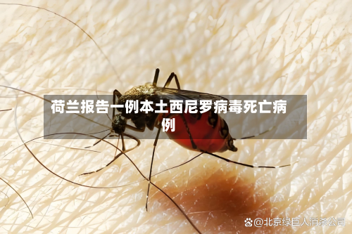 荷兰报告一例本土西尼罗病毒死亡病例-第3张图片
