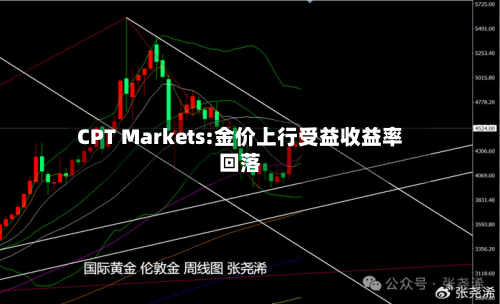 CPT Markets:金价上行受益收益率回落-第1张图片