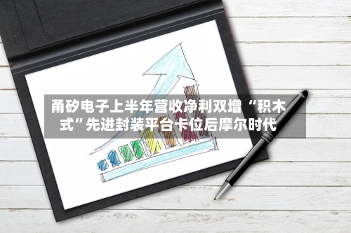 甬矽电子上半年营收净利双增 “积木式	”先进封装平台卡位后摩尔时代-第2张图片