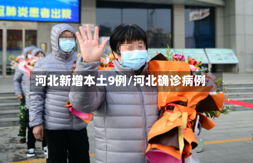 河北新增本土9例/河北确诊病例-第2张图片
