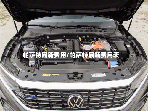 帕萨特最新费用/帕萨特最新费用表